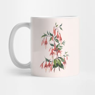 Red Fuchsia Plant Vintage Botanical Illustration Mug
